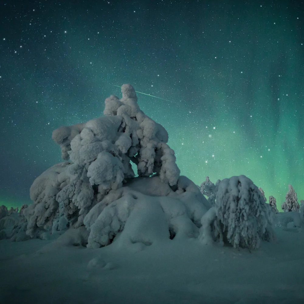 Arctic Nook - Winter-invitation - Lapland luxury